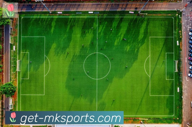 MK体育平台生态图