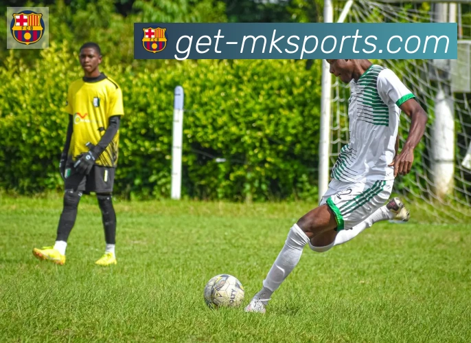 MK体育服务体系