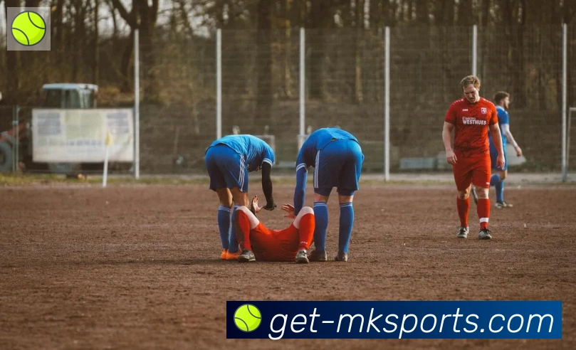 App Interface Preview